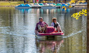 Paddle Boat
